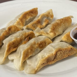 Chicken Dumplings