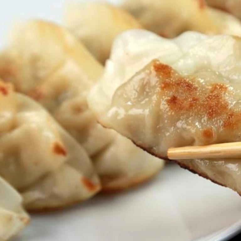 Savor Our Dumplings