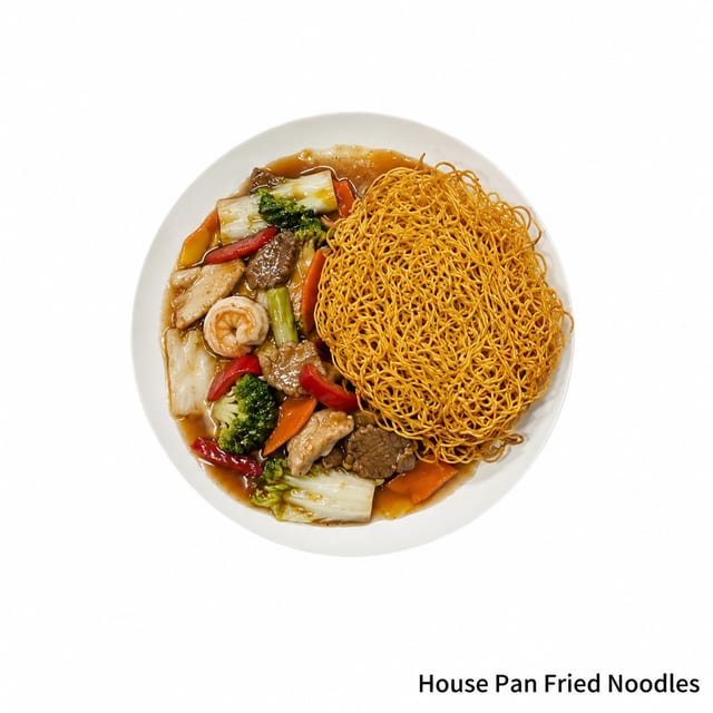 House Pan Fried Noodles.